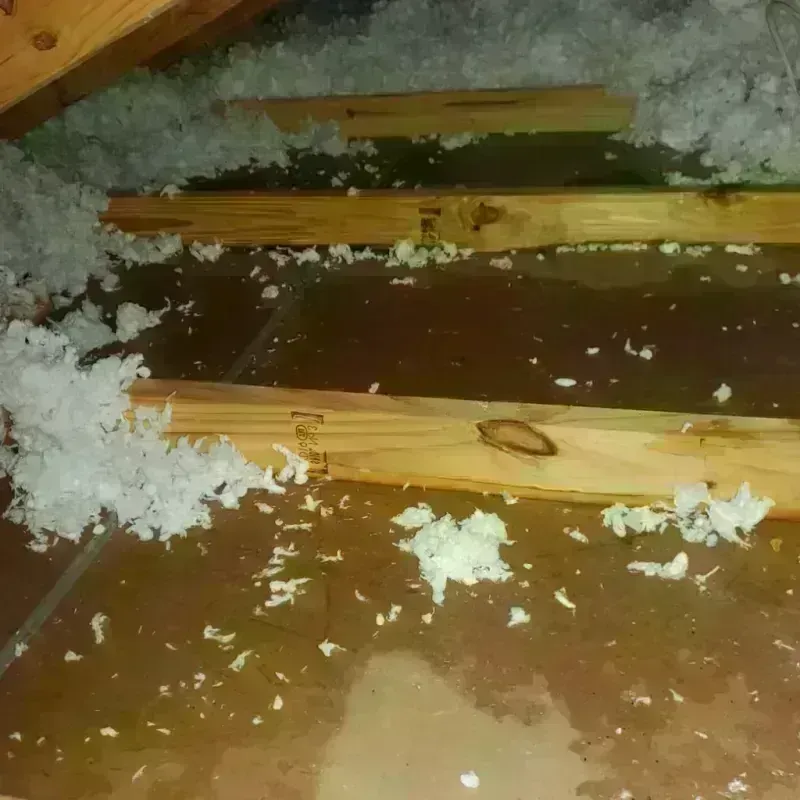 Attic Water Damage in Alexander County, IL