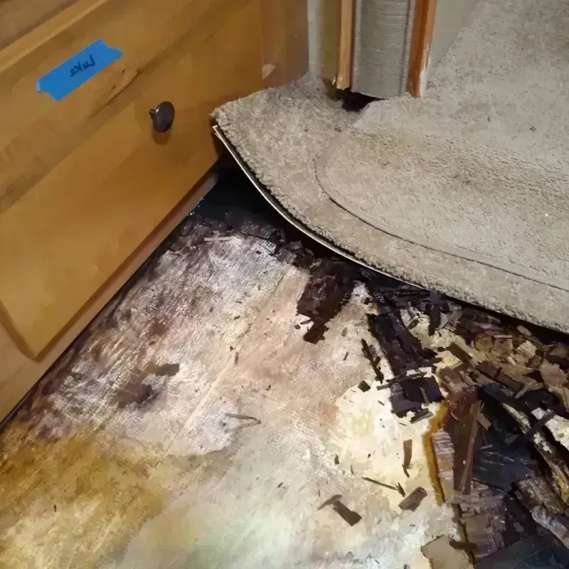 Wood Floor Water Damage in Alexander County, IL